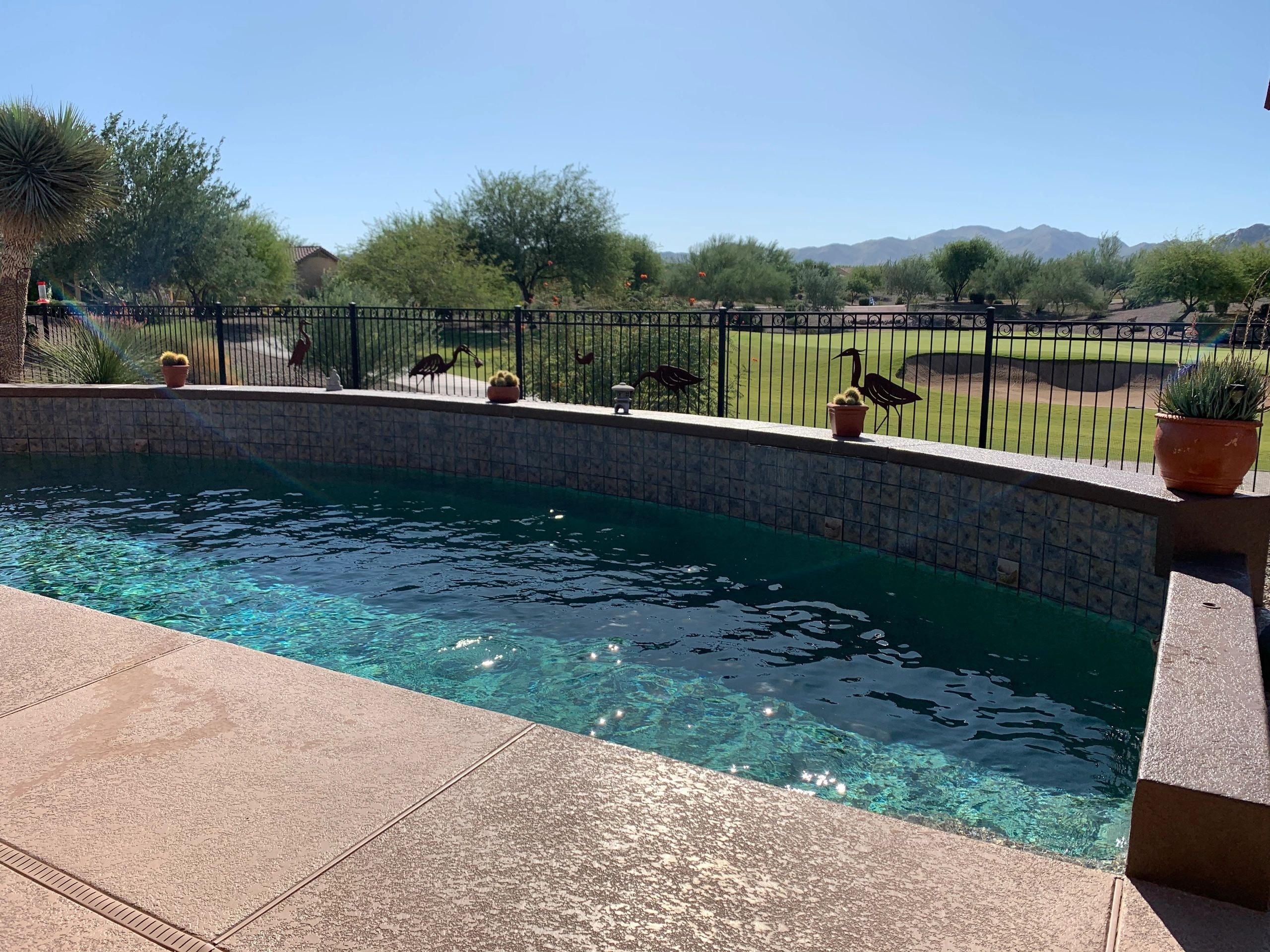 Pool gallery photo 1